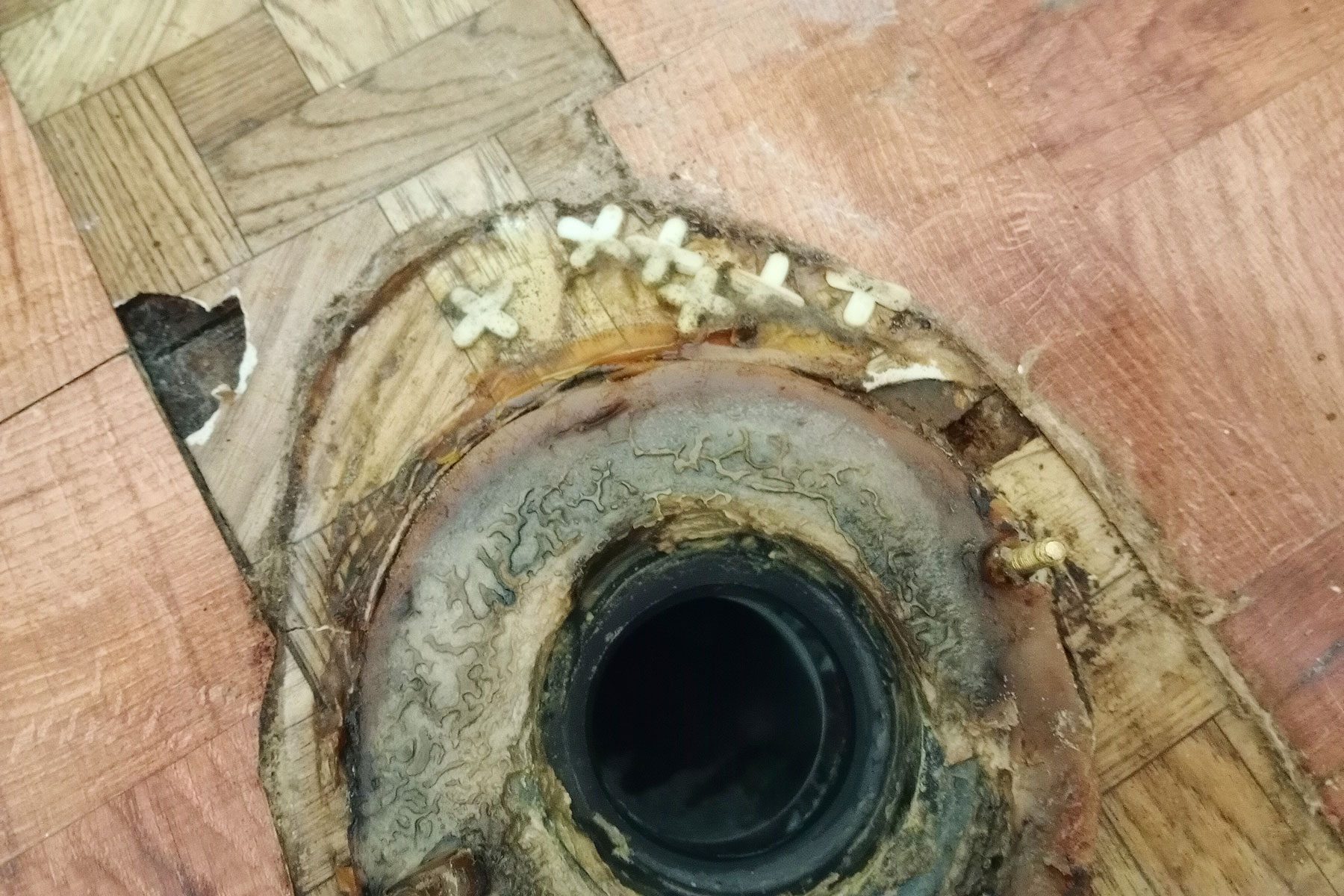 Identifying the issues