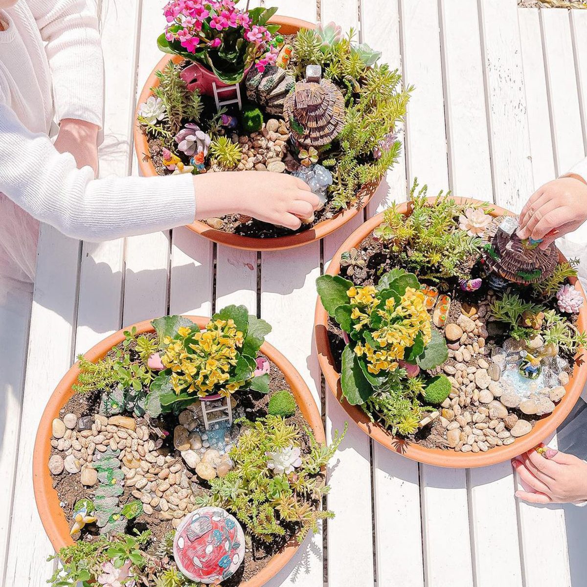 8 Breathtaking Diy Fairy Gardens Planter Fairy Gardens Courtesy @tami Omalley