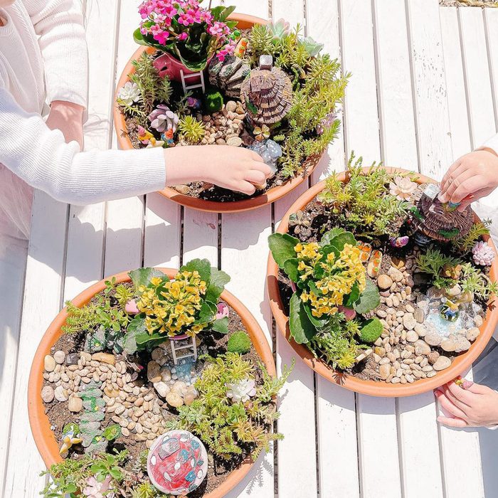 8 Breathtaking Diy Fairy Gardens Planter Fairy Gardens Courtesy @tami Omalley