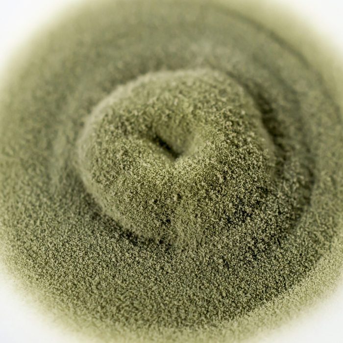 Colony of mold fungus cultivated from indoor air