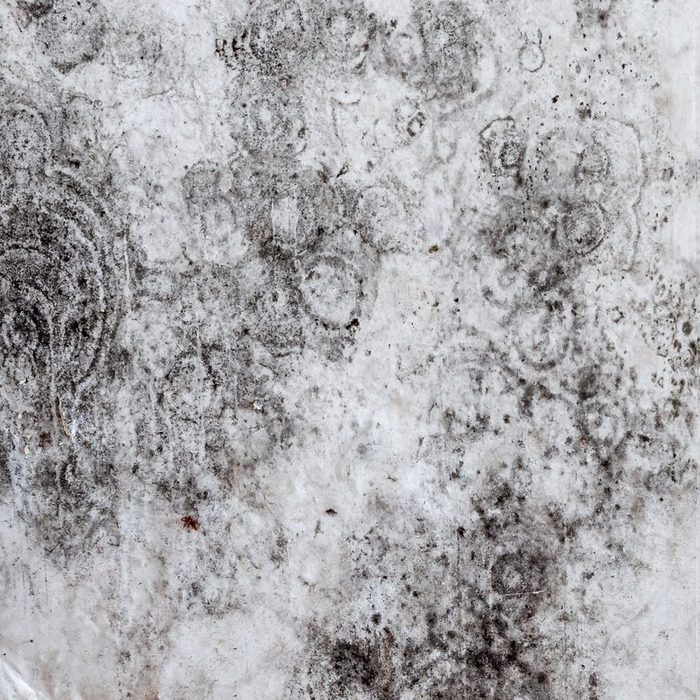 Black mold stains on the wall