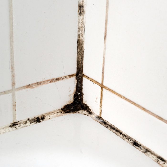 Mold in a bathroom