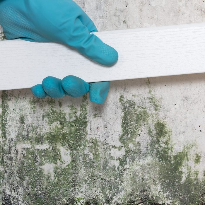 Person Placing Tiles On Moldy Wall