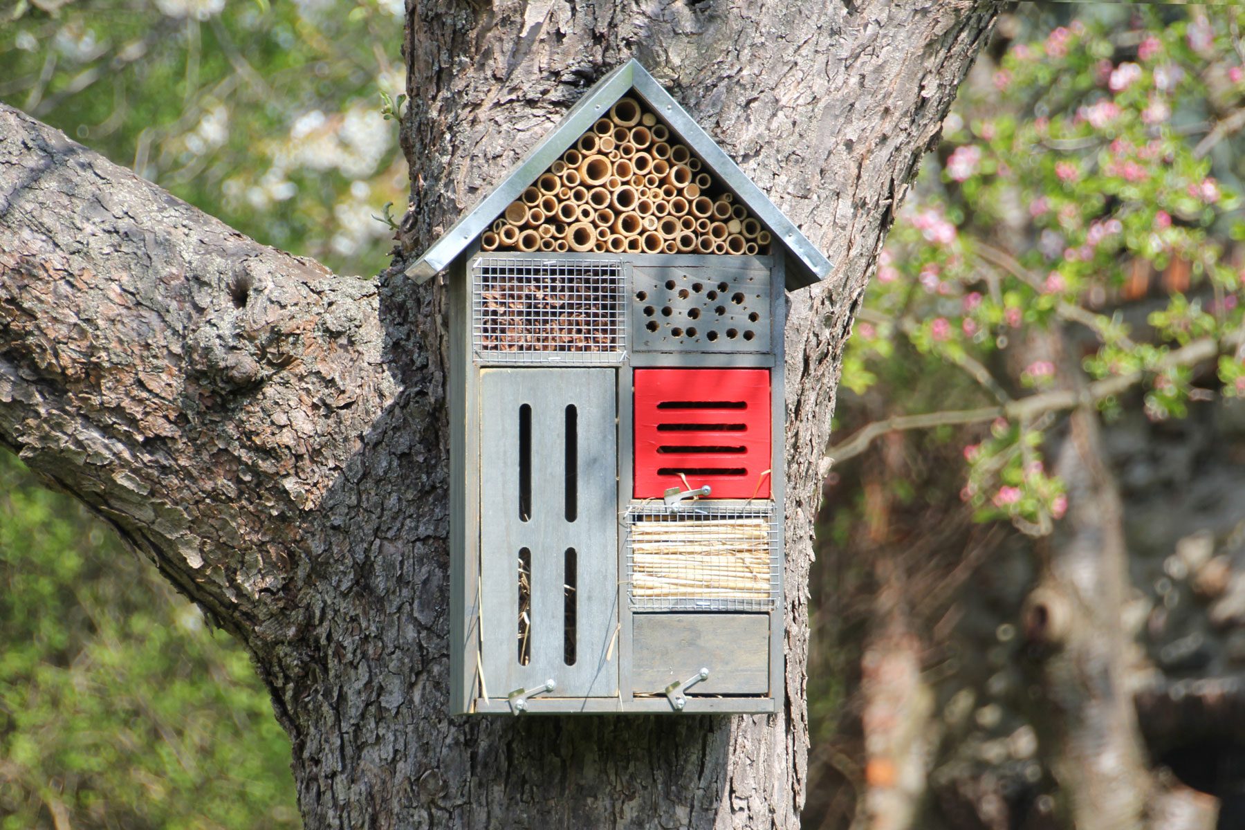 Bug Hotels for Bees & Butterflies Are a Wonderful Addition to Your Garden