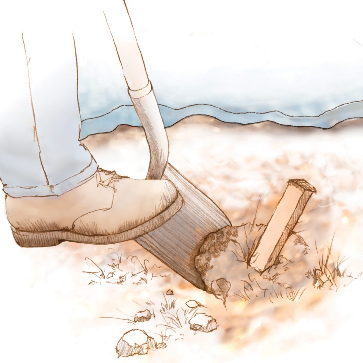 Carve Out A Soil Divot With A Spade