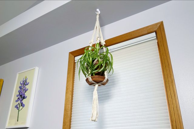 How To Hang A Plant From The Ceiling Install swag hook
