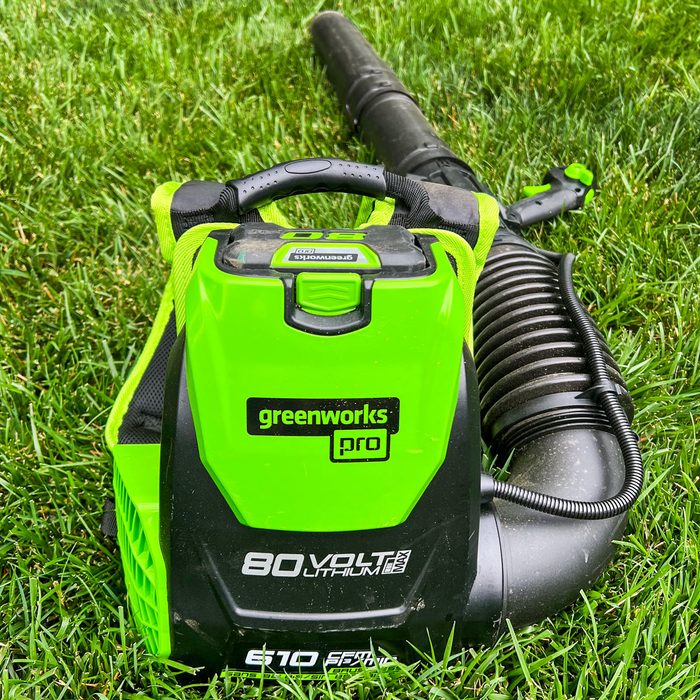 Greenworks 80v Backpack Leaf Blower