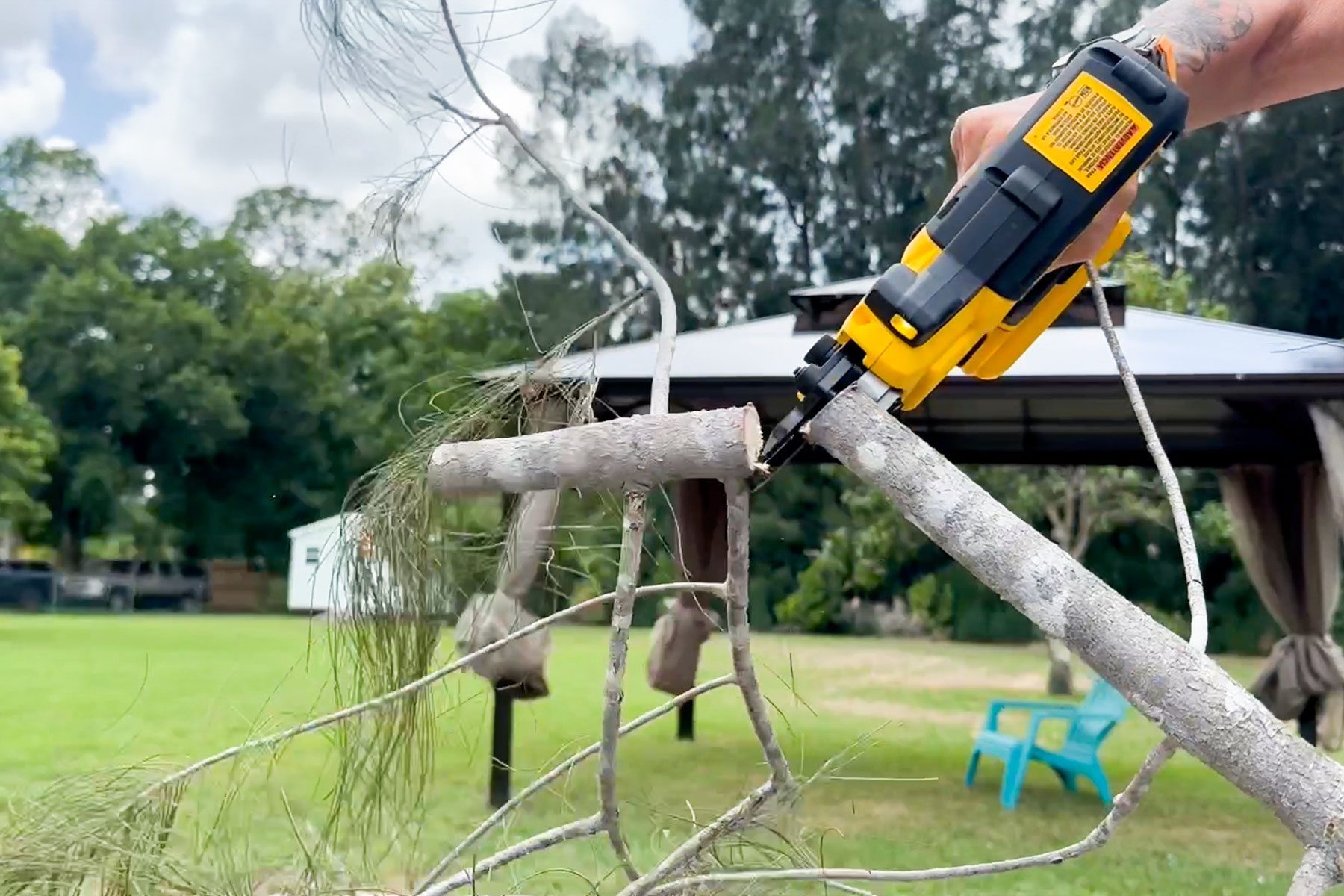 Dewalt 20v Pruning Shears