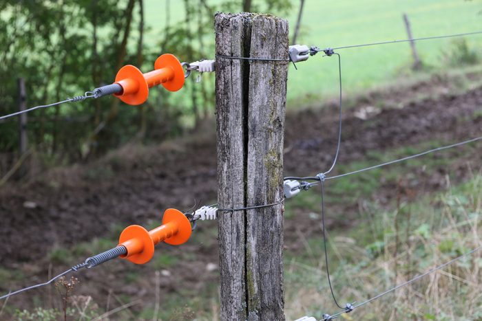 Electric fence gate protecting green grass pasture