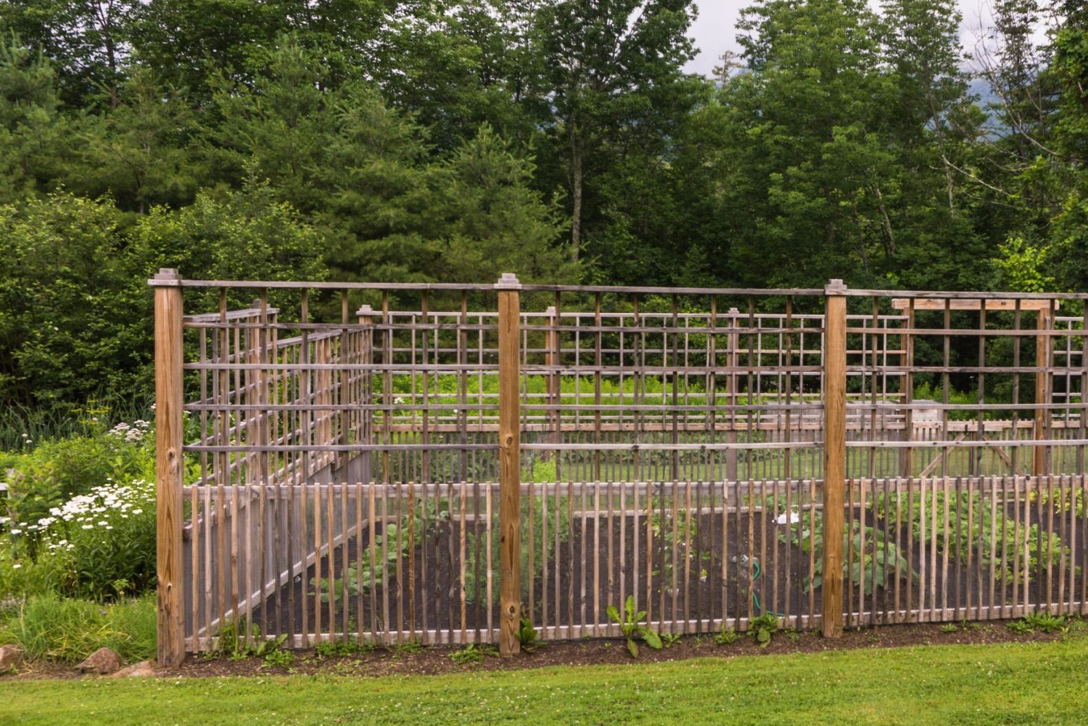 fenced vegetable garden