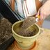 How To Make Potting Soil