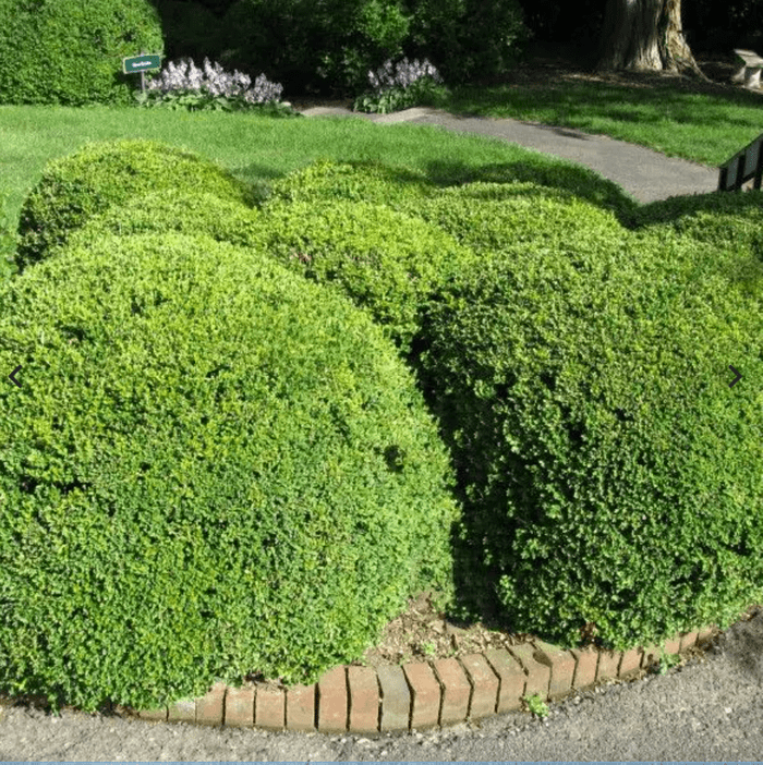 Screen Shot 2024 06 13 At 3.24.23 Pm