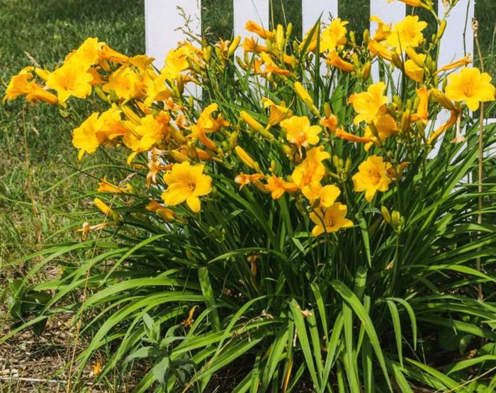 Screen Shot 2024 06 13 At 3.26.27 Pm