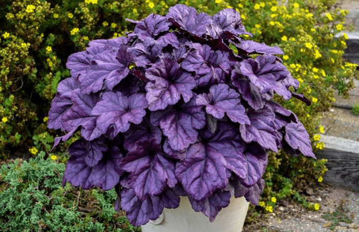 Screen Shot 2024 06 13 At 3.28.48 Pm