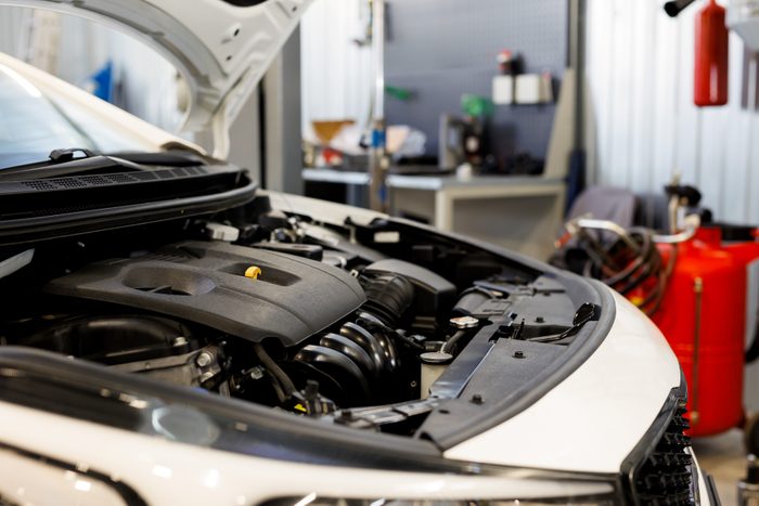 6 Surprising Places You Should Be Checking For Mice