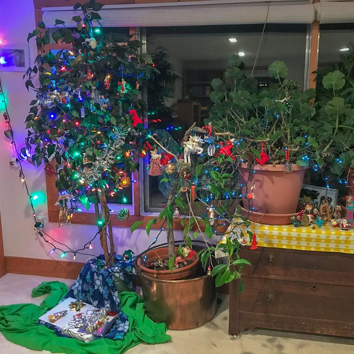 Use Everyday Items For Decoration