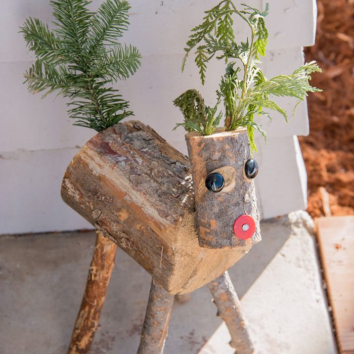 Use Nature As A Decoration