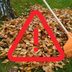 The Hidden Dangers Lurking Beneath Your Leaf Pile