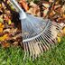 13 Useful Tools for Collecting Leaves
