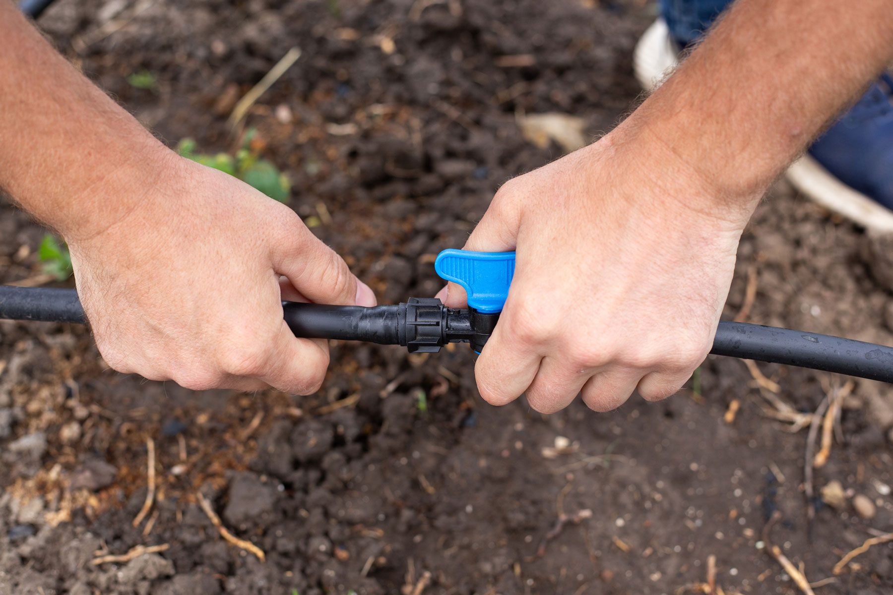 Installation of a drip irrigation system for the garden.