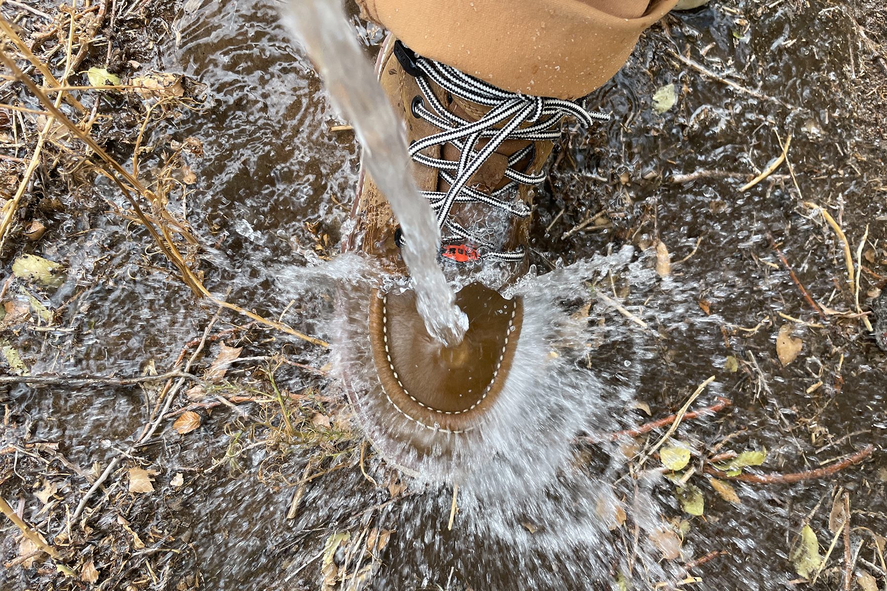 Fhma24 The Marin Women Karuna Eberl 05 Ssedit