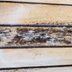 How to Get Rid of Mold on Unfinished Wood