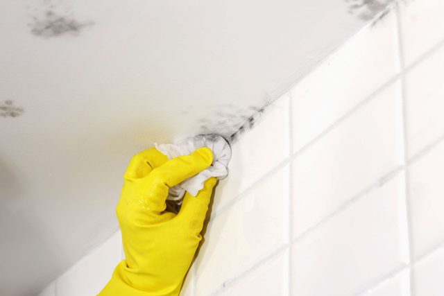 Clean Mold With Vinegar