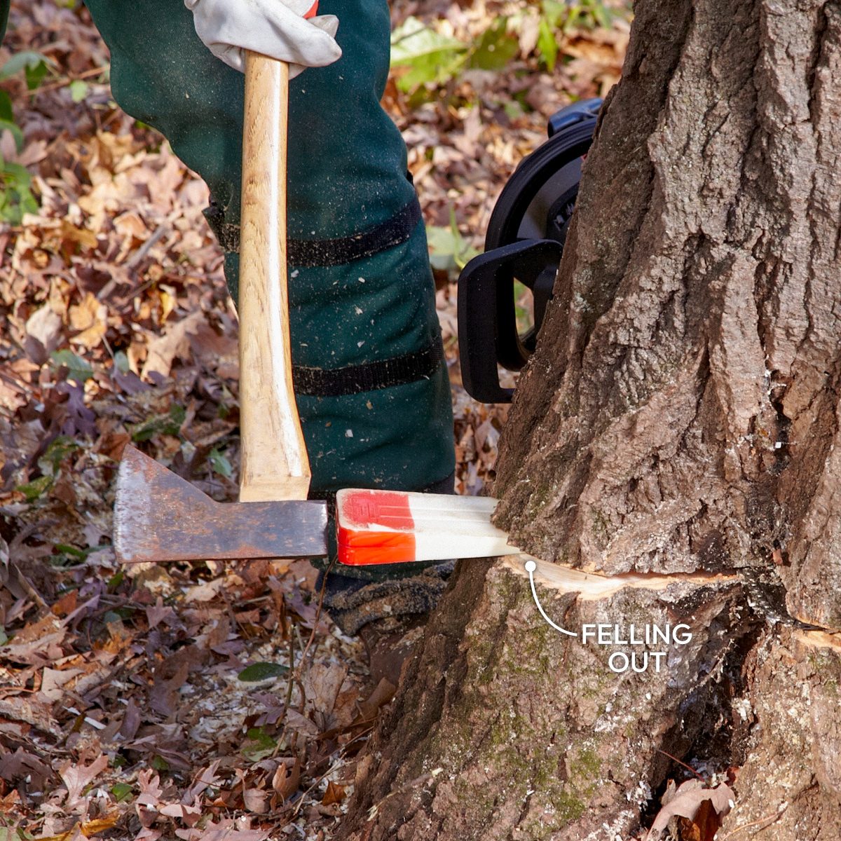 How To Cut Down A Tree Safely Use Wedges on Big Trees