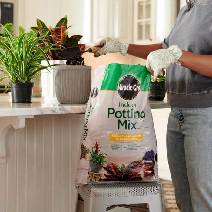 Miracle Gro Indoor Potting Mix