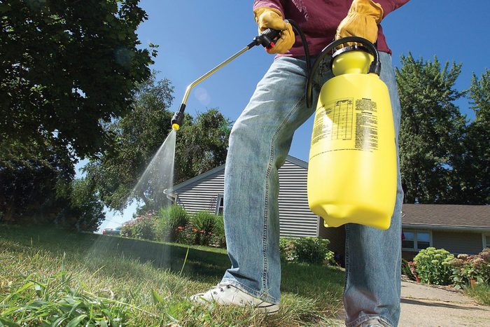 13 Tips For Getting Rid Of Crabgrass For Good