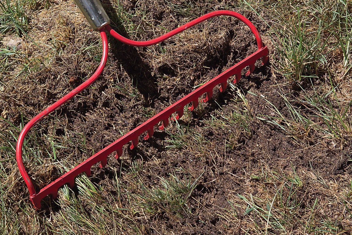 13 Tips For Getting Rid Of Crabgrass For Good 