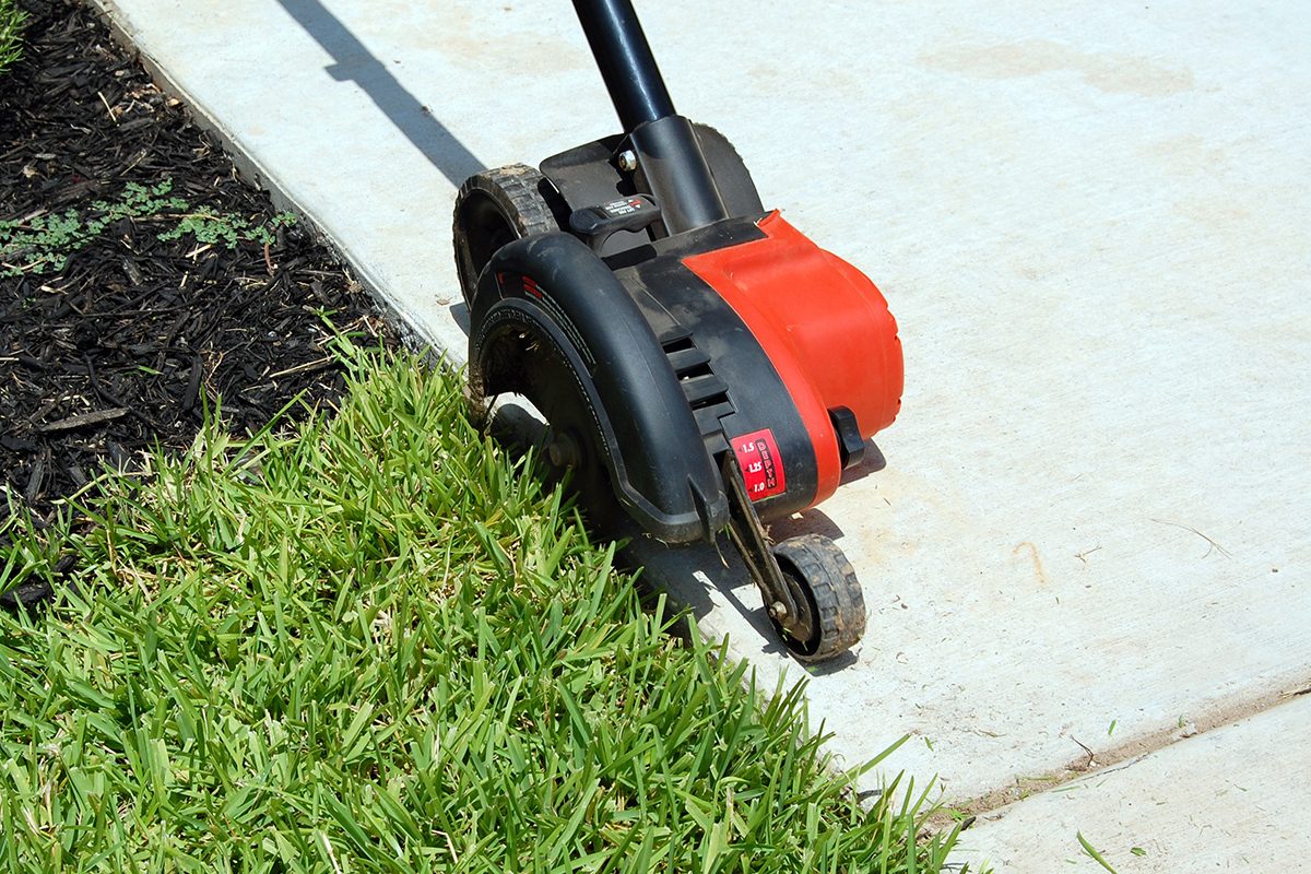 13 Tips For Getting Rid Of Crabgrass For Good Gettyimages 157642264