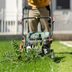 13 Tips for Getting Rid of Crabgrass for Good