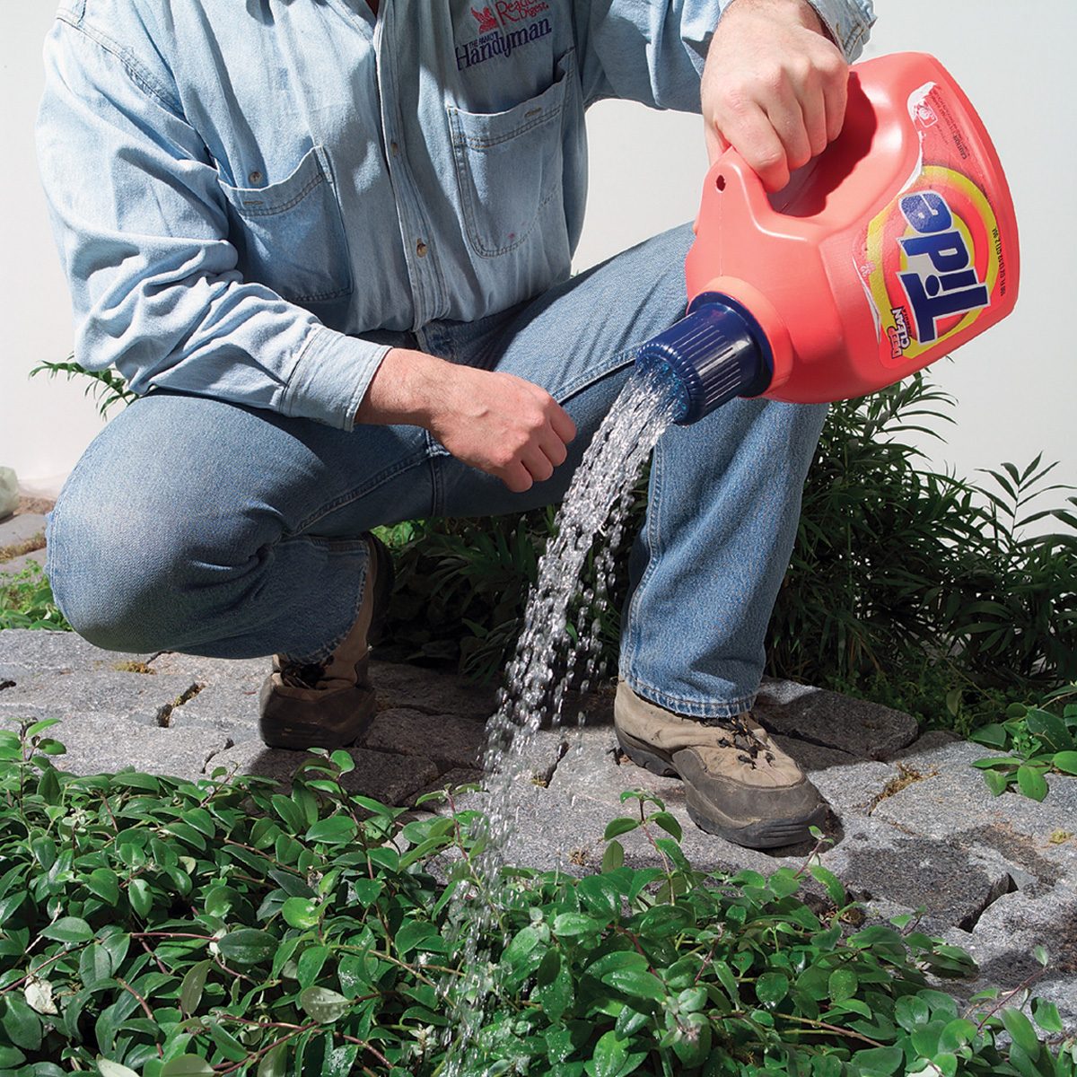 A person wearing a denim shirt and jeans kneels on a stone path, using a Tide detergent bottle as a watering can to pour water onto green plants. The bottle