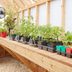 Amazing Greenhouse Shelving Buy and DIY Ideas for Organized Plant Storage