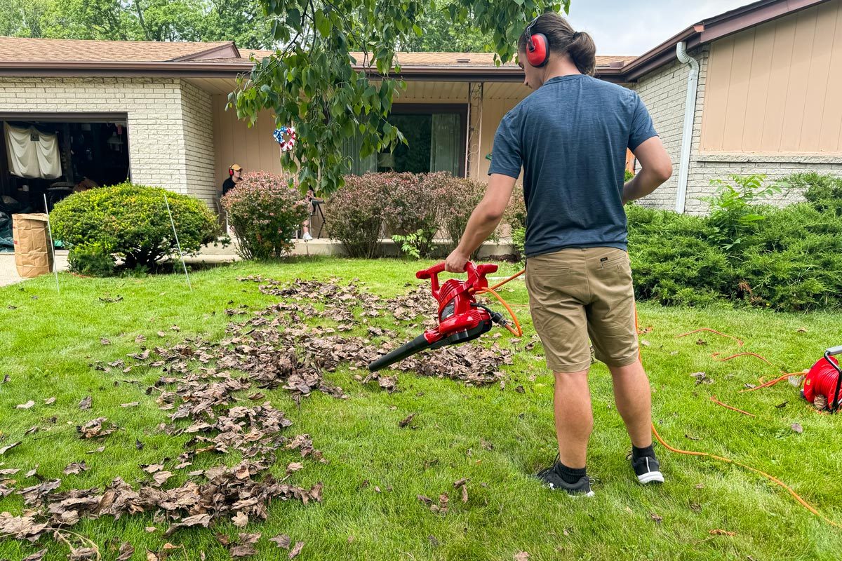 Toro Ultra Blower Vac