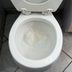 Unclog Your Toilet with Baking Soda and Vinegar