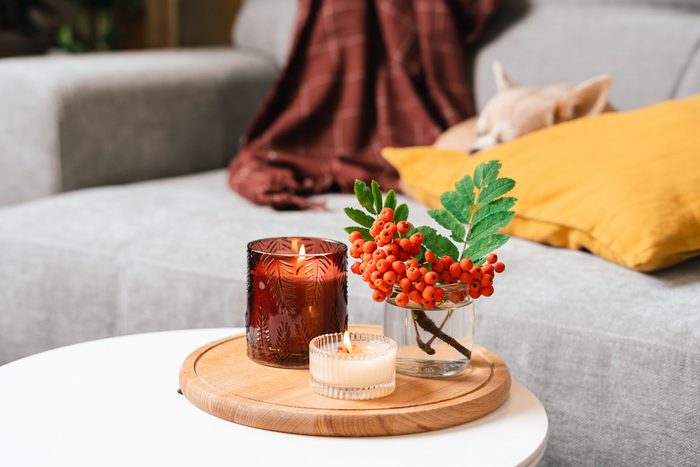 candle, rowan berry and pumpkin in the living room on a table