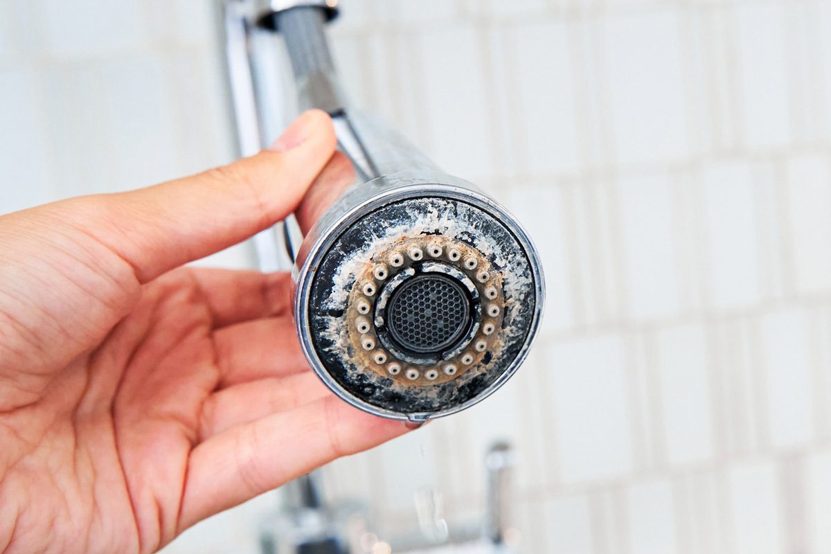 woman holding a chrome faucet covered with limescale