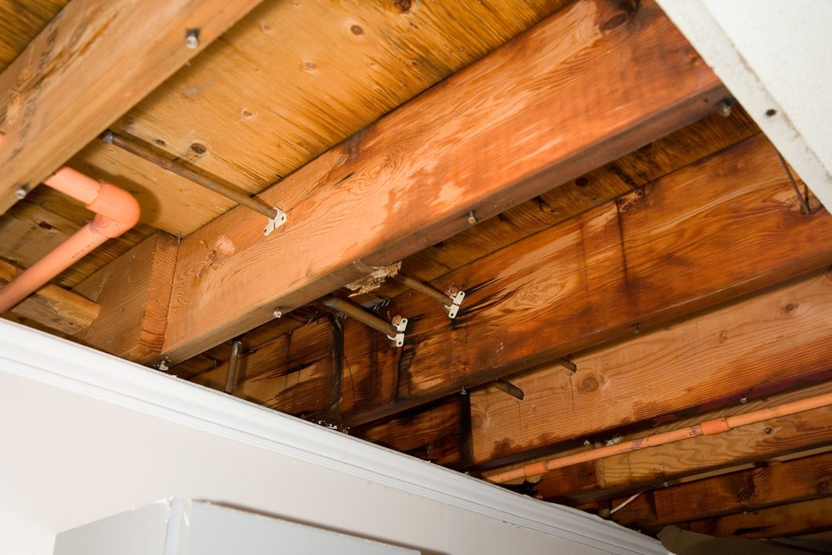 roof struts showing water leak