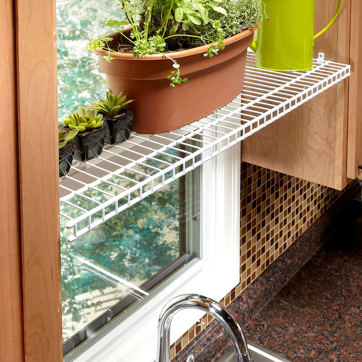kitchen window plant perch