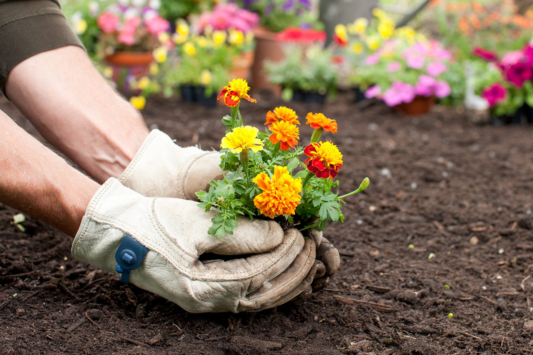 5 Tariff Proof Home Improvement Projects To Do In 2025 Gettyimages 1156537866