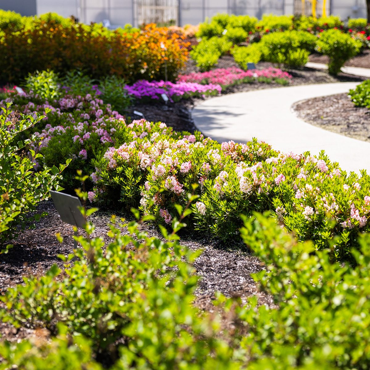 Bloombux Via Ngb.org