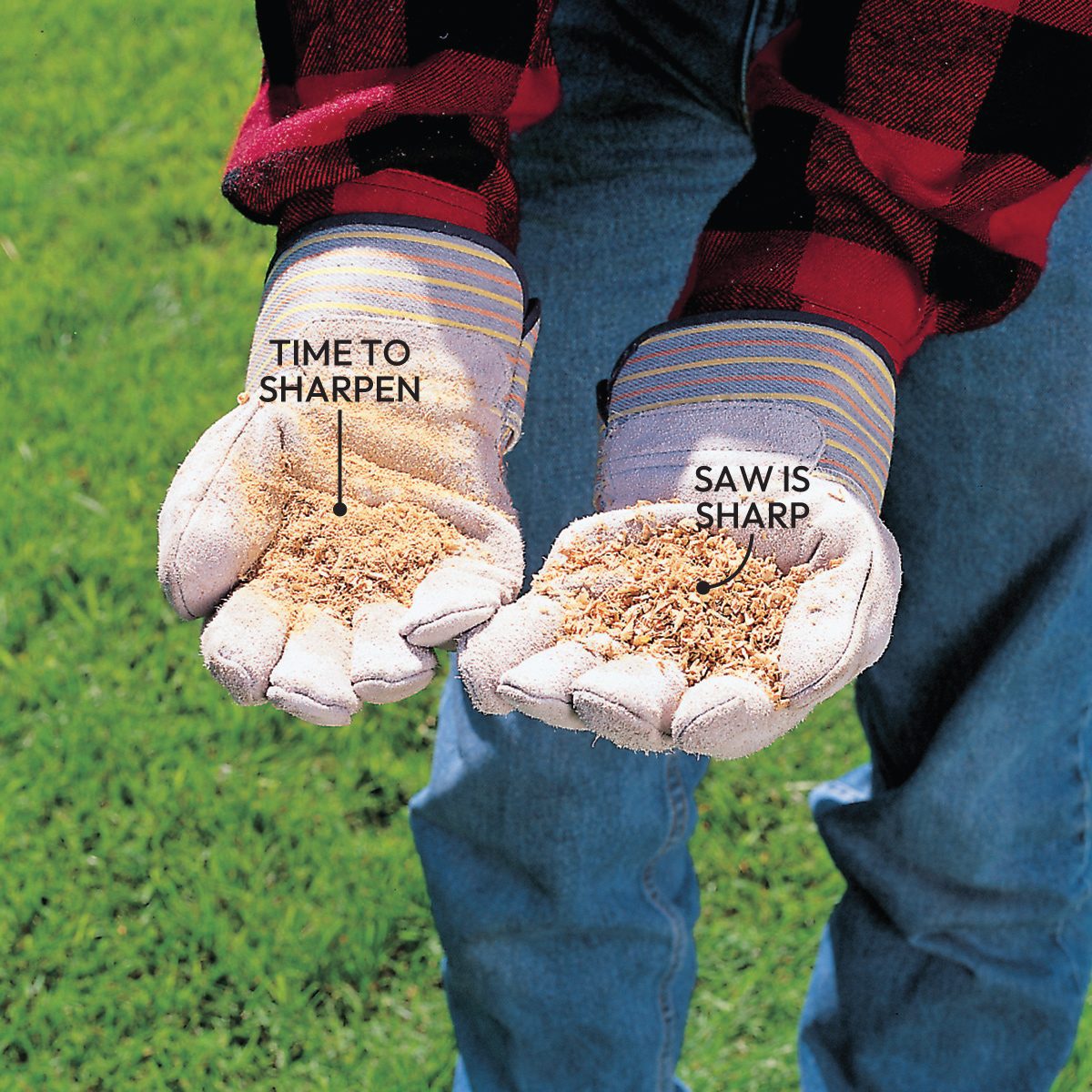 Chainsaw Blade Guard