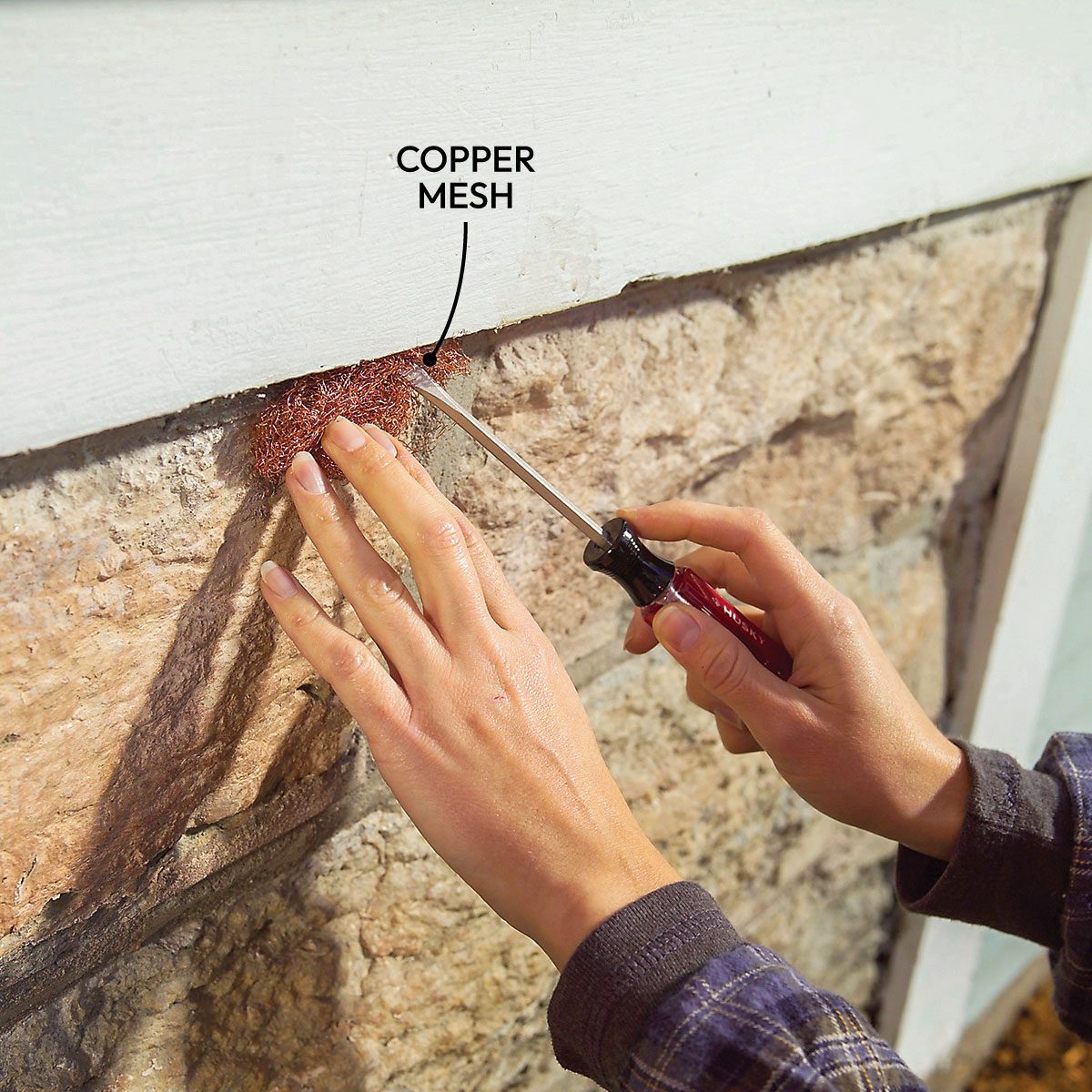 Diy Pest Control Strategies And Techniques