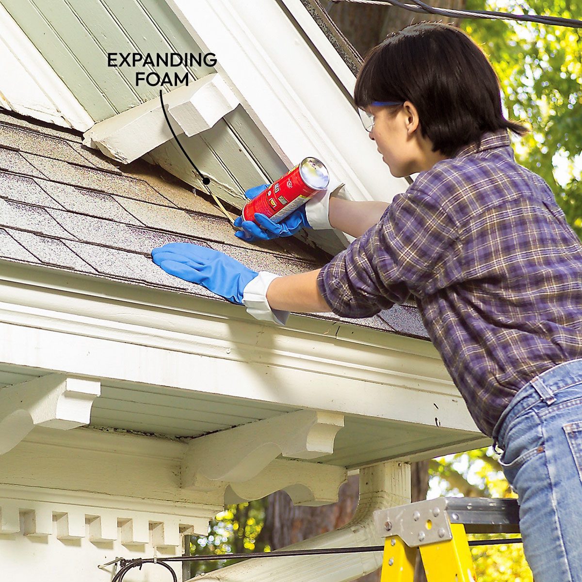 Diy Pest Control Strategies And Techniques Fh06apr 467 59 008 Callouts