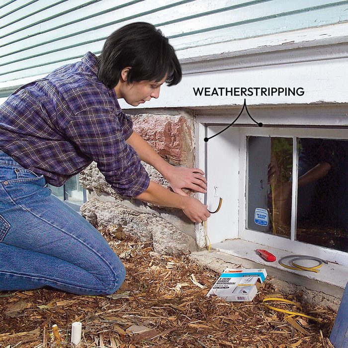 Diy Pest Control Strategies And Techniques