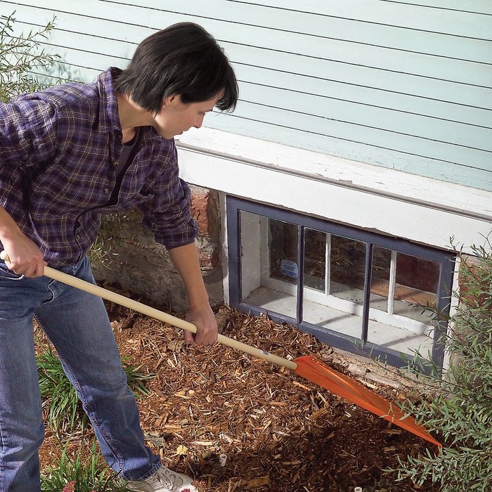 Diy Pest Control Strategies And Techniques Fh06apr 467 59 013