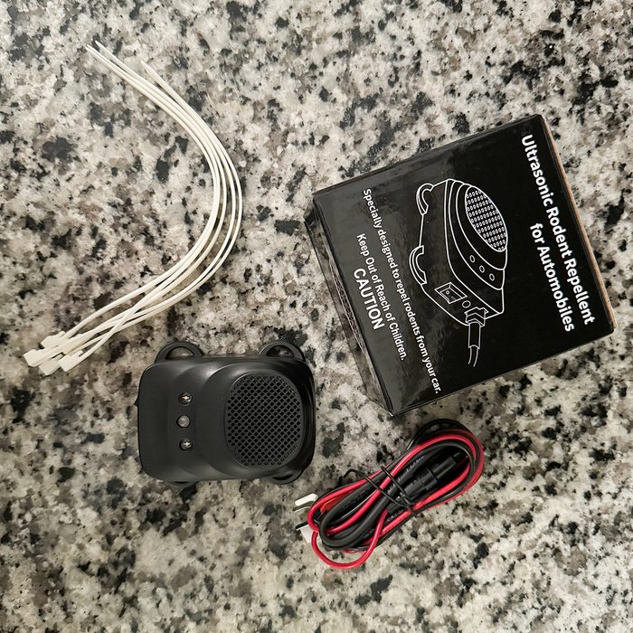 Fhma25 Loraffe Led Katie Bandurski  01 Ssedit