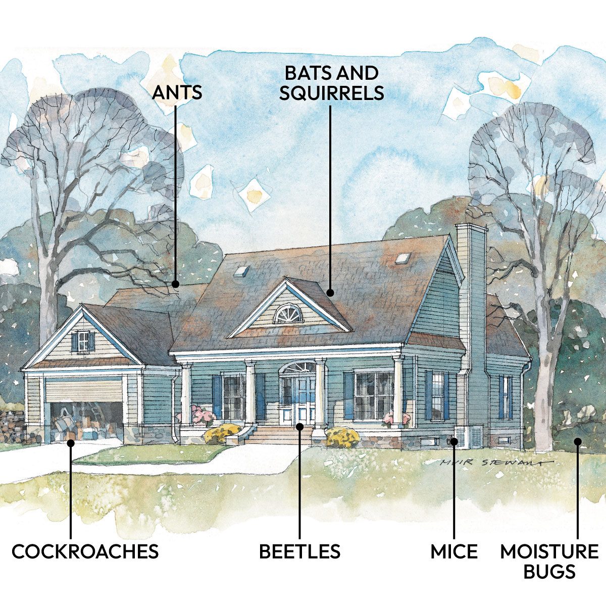 How Common Household Pests Get In